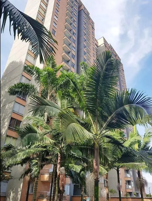Beautiful Renovated Apart 23Rd Floor - View Medellin 0*,